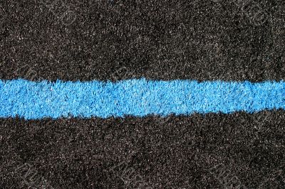 Black Blue Lawn 6477