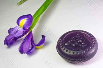 Purple soap with iris