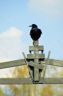 The black guard of a cemetery