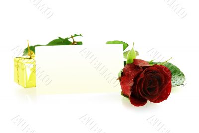 red rose with a gift and blank card