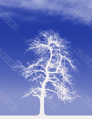 White Tree