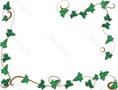 Frame from ivy