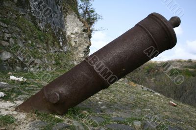 Upside Down Cannon