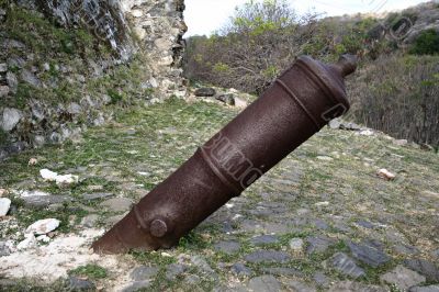 Upside Down Cannon