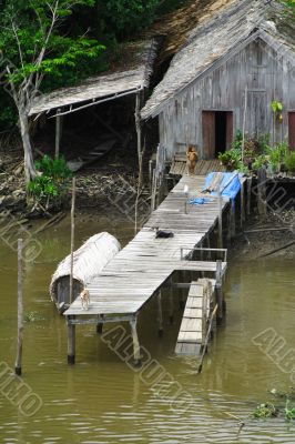 Amazonia Lifestyle