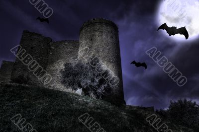 Castle in the night