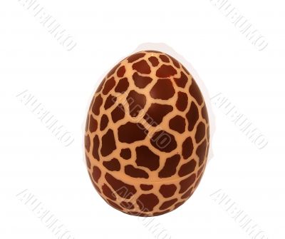 concept - egg of giraffe