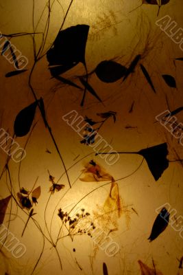Old yellow paper with background light and shadows
