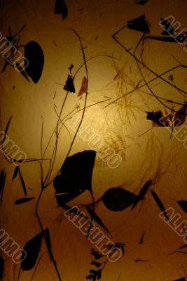 Old yellow paper with background light and shadows