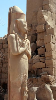 Luxor temple