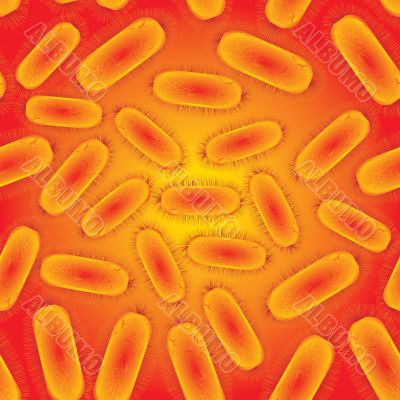 bacteria life