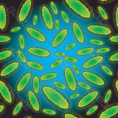 bacteria
