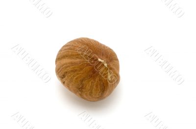 hazel nut