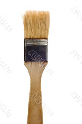 paint brush close up