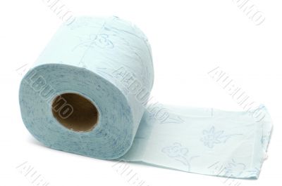 toilet paper on white