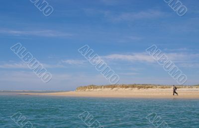 Beachcomber