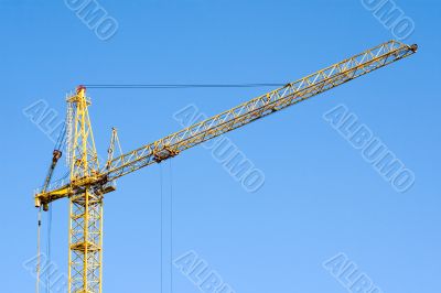 Crane