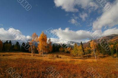 AutumenSplender 57