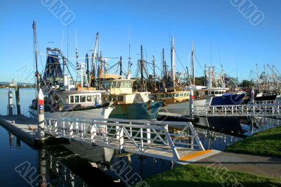 Shrimp and Fishing fleet at dock