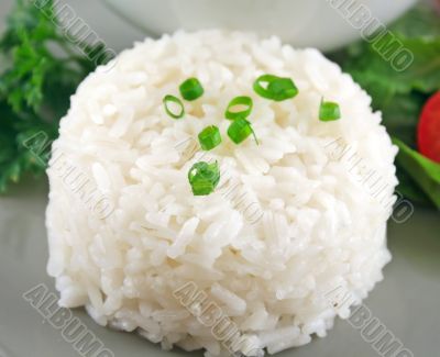 Rice Stack With Garnish