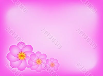 Flowers with border