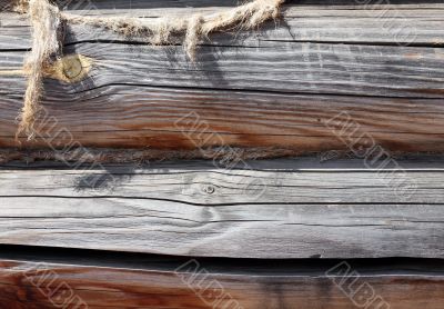 Background from wooden logs