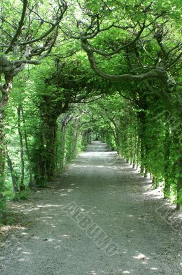 Arch in a garden