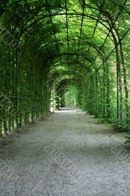 Arch in a garden