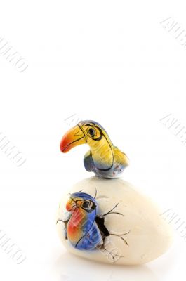 bird egg