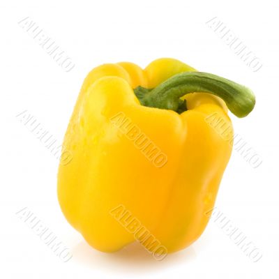 yellow paprika