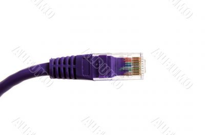 Network cable