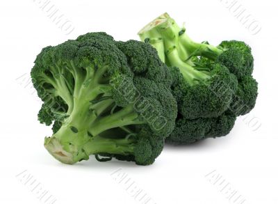 broccoli on white,