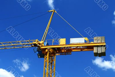 yellow crane #3