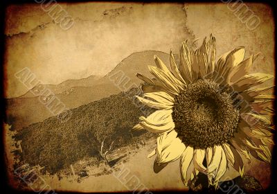 Background - retro poster with a sunflower