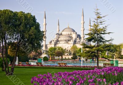 Blue Mosque 2