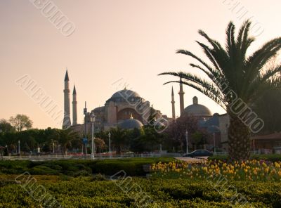 Blue Mosque 4