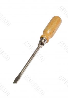 Old Screwdriver