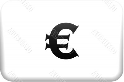 Euro Sign Button