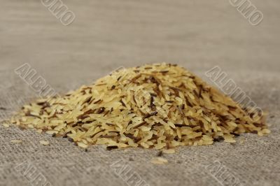 wild rice grains