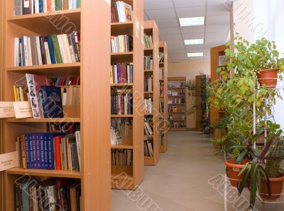 books on shelves in library