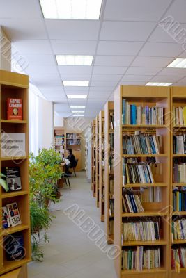 books on shelves in library