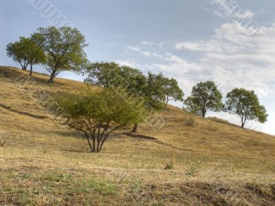 autumn landscape