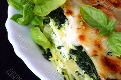 Vegetarian lasagna with ricotta cheese spinach filling and basil