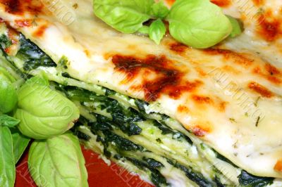 Vegetarian lasagna with ricotta cheese spinach filling and basil