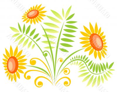 yellow flowers