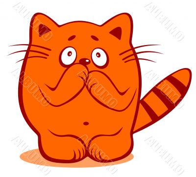 timid cat