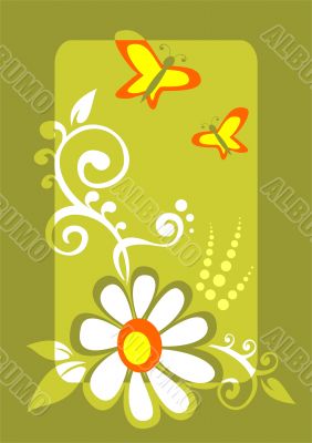 butterflies and chamomile