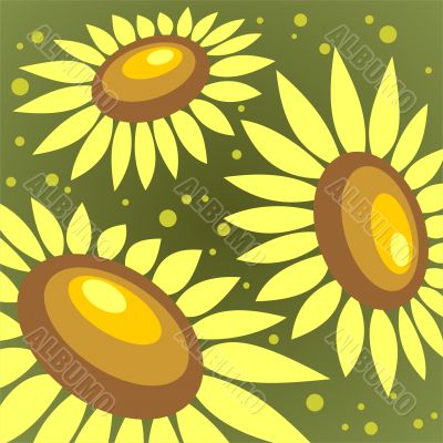 sunflowers background