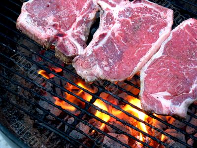 T-Bone Steaks on the Grill