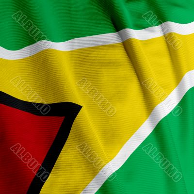 Guyanese Flag Closeup